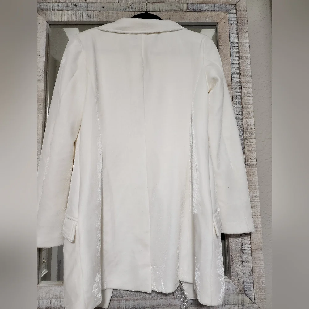 Patbo Velvet Beaded Blazer Dress - Picture 7 of 14